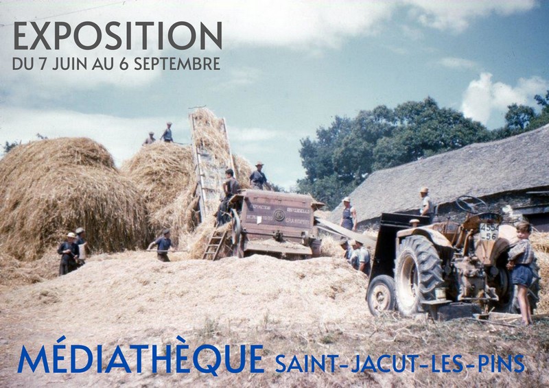 exposition web