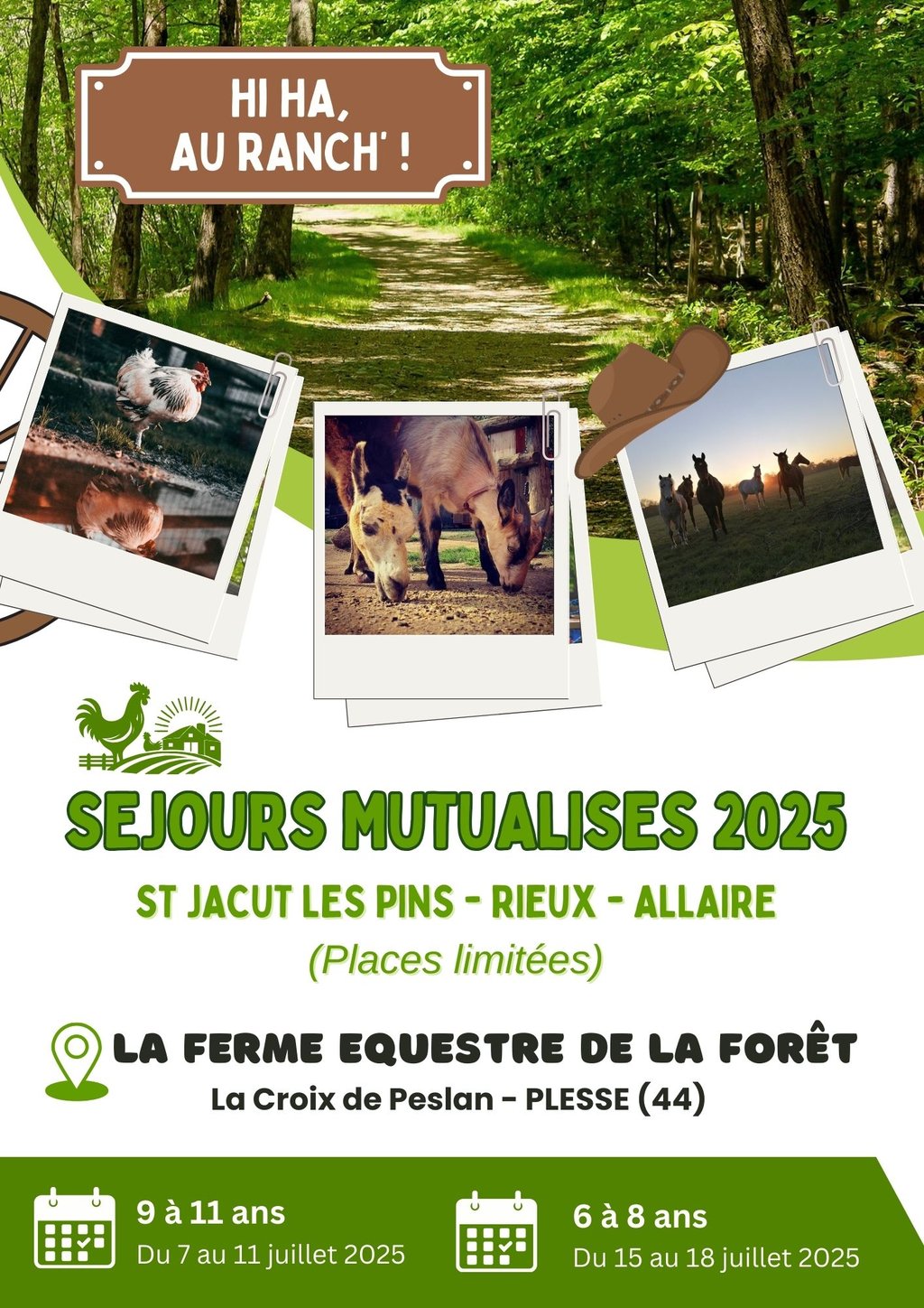 1f04828e504e3e8bba3b5bcc81fac588 sejours et